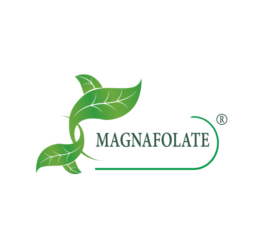 ما هو Magnafolate®؟ حمض الفوليك مقابل حمض الفوليك، ما الفرق؟