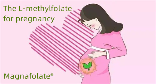 L-methylfolate للأشخاص الحوامل