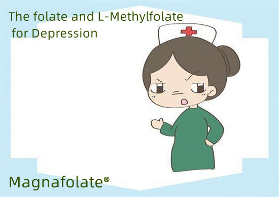 حمض الفوليك وL-Methylfolate للاكتئاب