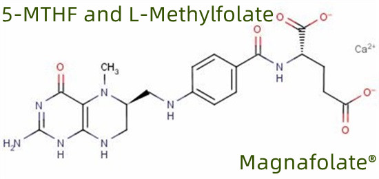 5-MTHF وL-ميثيلفولات