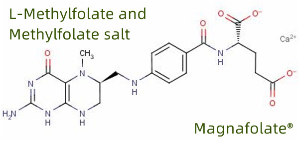 الشركة المصنعة والموردة العالمية لـ L Methylfolate