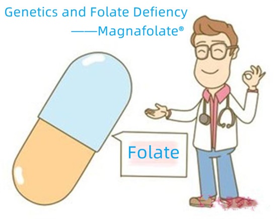 الوراثة ونقص حمض الفوليك-Magnafolate