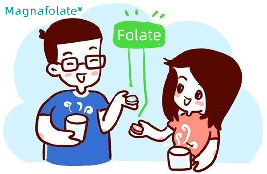 ما هي كمية حمض الفوليك التي أحتاجها؟