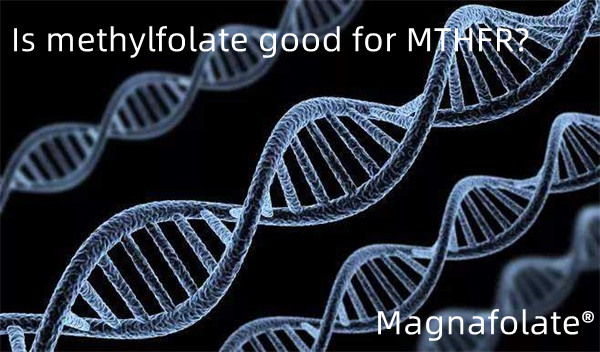 هل الميثيلفولات جيد لـ MTHFR؟