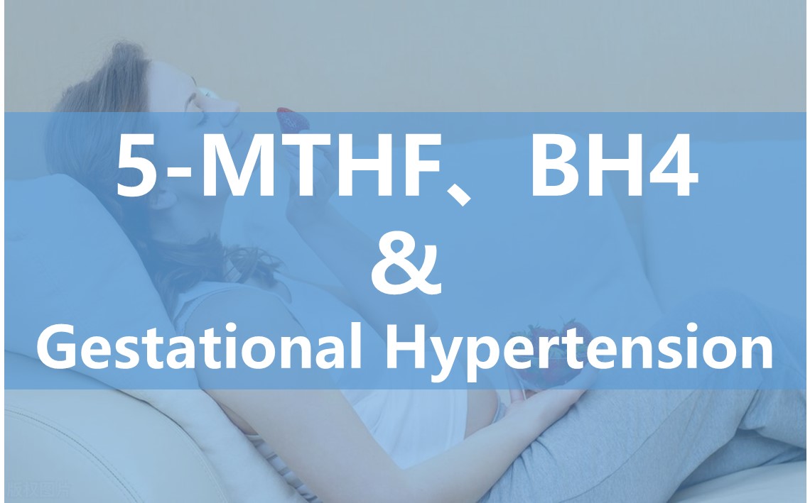 تأثير 6S-5-methyltetrahydrofolate على وظيفة الخلايا البطانية أثناء الحمل وإمكاناته في علاج ارتفاع ضغط الدم الحمل