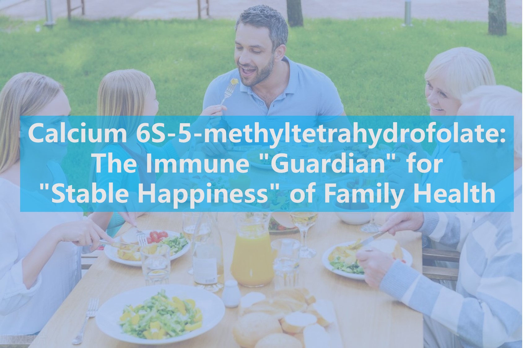 الكالسيوم 6S-5-Methyltetrahydrofolate: 