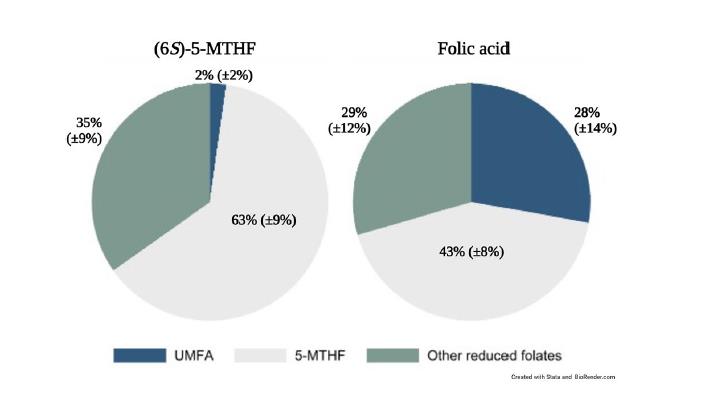 احذر! تؤكد دراسة في مجلة Scientific Reports أنه عندما تكمل النساء المرضعات حمض الفوليك، فإن 28% من حمض الفوليك الموجود في حليبهن يكون غير قابل للاستخدام من حمض الفوليك غير المستقلب (UMFA) - وهو أعلى بمقدار 14 ضعفًا من الأمهات اللاتي يتناولن الشكل النشط حيويًا.