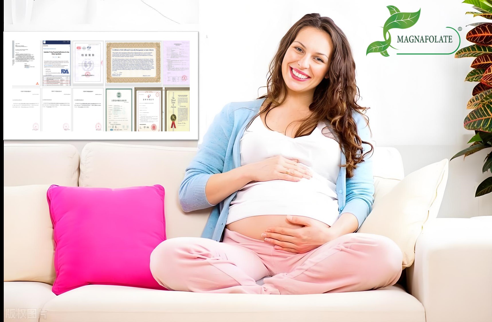 تلقي إيرادات الترخيص في الخارج | Jinkang Hexin تصل إلى إنجاز مزدوج في التكنولوجيا والسوق